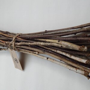 May include: A bundle of approximately 20 natural, brown and gray twigs tied together with twine. The twigs are about 6-8 inches long. A small brown tag with the text "Craft & Nature" is attached to the bundle.