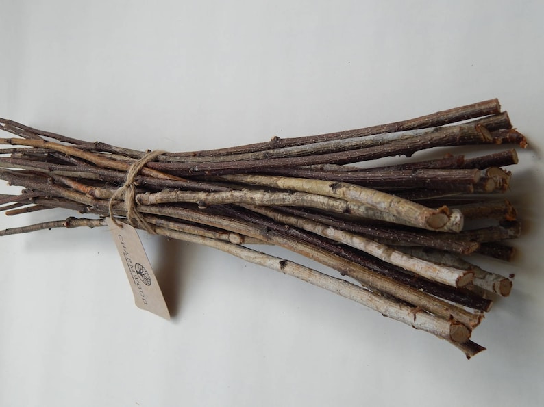 May include: A bundle of approximately 20 natural, brown and gray twigs tied together with twine. The twigs are about 6-8 inches long. A small brown tag with the text "Craft & Nature" is attached to the bundle.