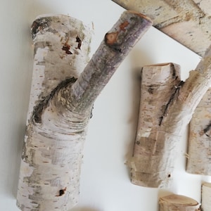 May include: Four natural birch wood branches mounted on a white wall, each branch has a unique shape and texture, creating a rustic and organic look.
