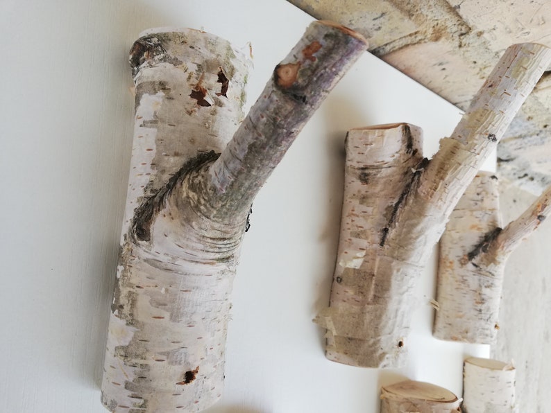 May include: Four natural birch wood branches mounted on a white wall, each branch has a unique shape and texture, creating a rustic and organic look.
