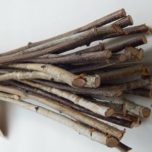 May include: A bundle of natural twigs, some with a light brown bark and others with a darker brown bark. The twigs are arranged in a fan shape and are ready for crafting projects.