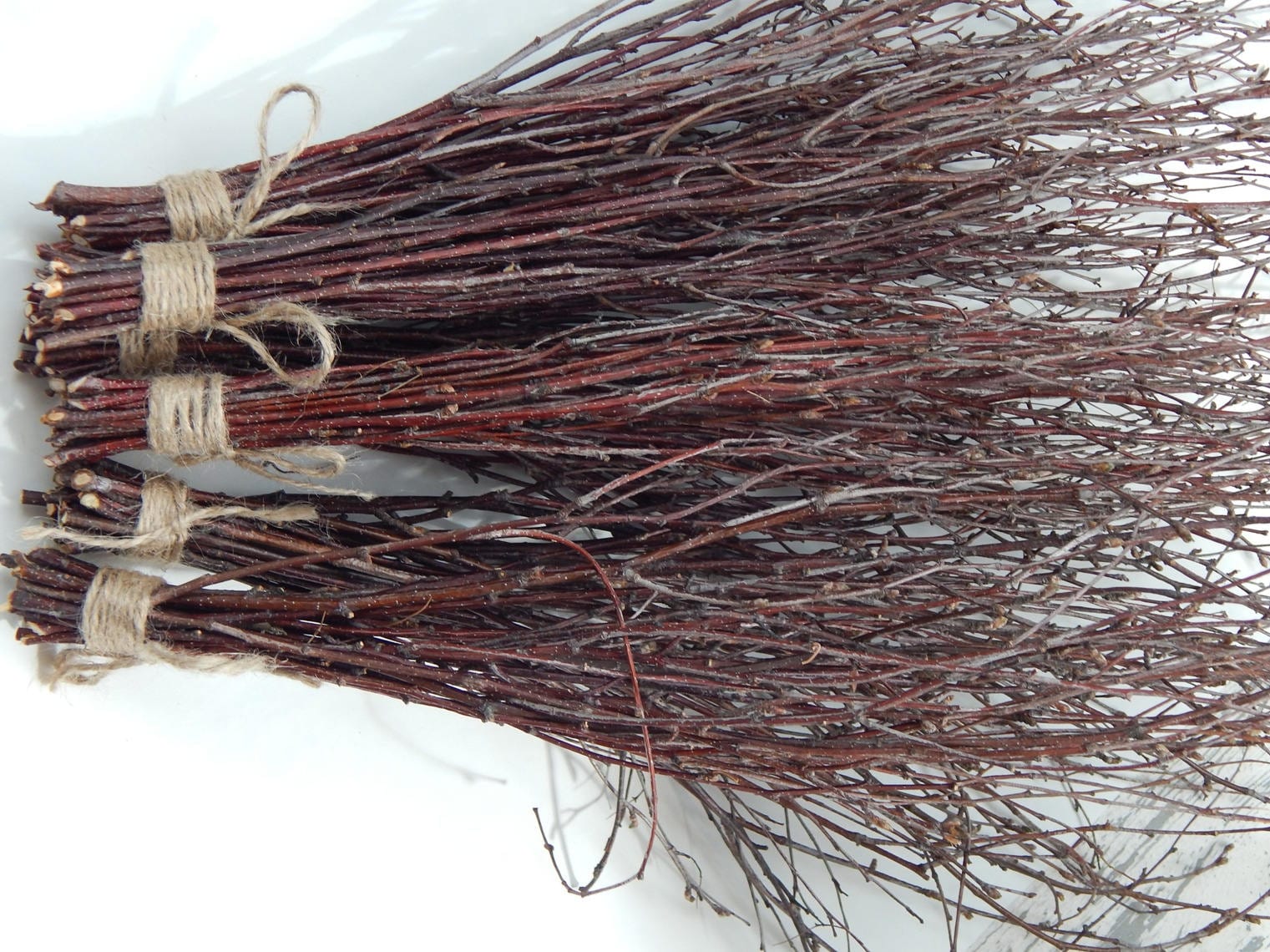 White Birch Branches 150 Pcsnatural Birch Twigsbirch Etsy