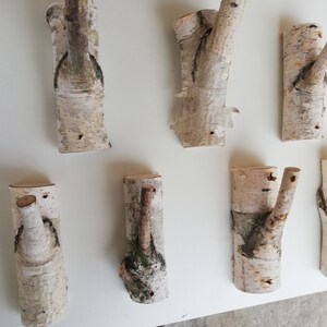 May include: Eight natural birch wood hooks with a rustic, organic look. The hooks are various sizes and shapes, with some having a single branch and others having two branches. They are perfect for hanging coats, hats, or other items in a home or office.