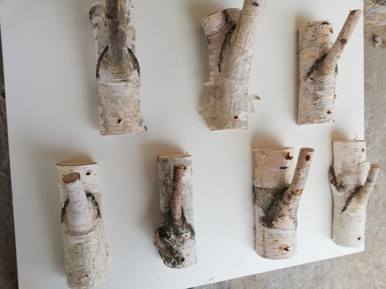 May include: Eight natural birch wood hooks with a rustic, organic look. The hooks are various sizes and shapes, with some having a single branch and others having two branches. They are perfect for hanging coats, hats, or other items in a home or office.