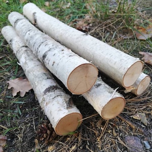 Amish-made Natural Medium White Birch Logs 2 to 3.5 Diameter Logs Qty 5  Logs Great for Crafting and Seasonal Decor Free Shipping 