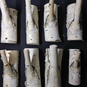 Puede incluir: Diez ganchos de madera de abedul natural con un acabado r&uacute;stico blanqueado. Los ganchos tienen forma de ramas y tienen un aspecto natural y org&aacute;nico. Ser&iacute;an perfectos para colgar abrigos, sombreros o bolsos en un pasillo o entrada.