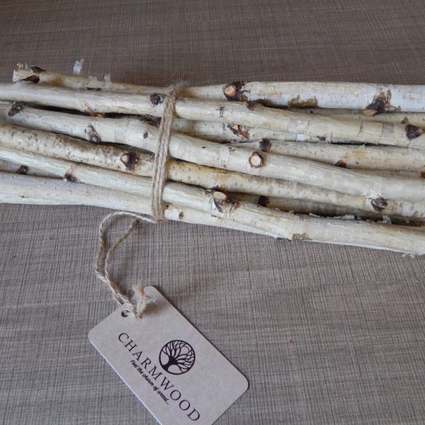 20 white birch sticks. Wood Logs. Wedding birch decor. White craft wood.Birch decor. Craft wood stick.  White birch. Home decor birch