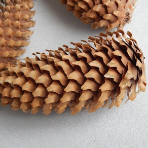 SALE!!! 10 Natural CONES. Pine cones. Large decorative fir cones . Giant fir cones for crafts. Big fir cones. Decorations fir cones