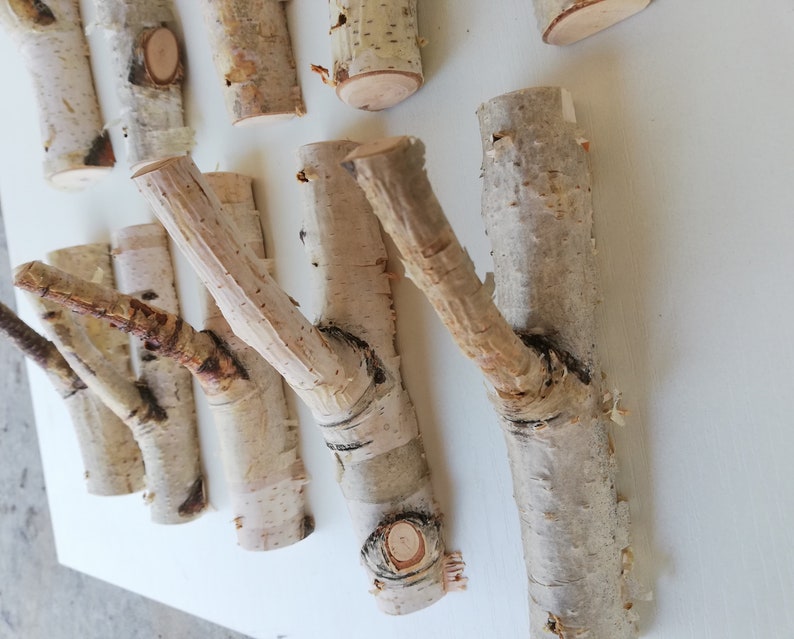 May include: A collection of natural birch branches, perfect for crafting or decorating. The branches are various sizes and shapes, with a natural white bark and a light brown color.