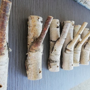 Ganchos de ramas de árboles. Ganchos de madera. Ganchos de abedul. Ganchos para mochilas. Ganchos de madera para pared, percheros hechos a mano, ganchos de ramas de árboles de madera