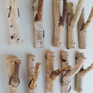 May include: A set of nine natural birch wood hooks, perfect for hanging coats, hats, or scarves. The hooks are made from real birch branches and have a rustic, natural look.
