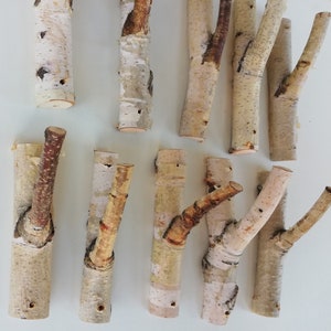 May include: A set of ten natural birch wood hooks, perfect for hanging coats, hats, or bags. The hooks are all different shapes and sizes, with some having a single branch and others having two branches. The hooks are all made of natural birch wood and have a rustic, natural look.