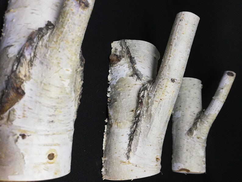 Puede incluir: Tres ramas de abedul de madera con corteza natural, cada una con una forma y un tama&ntilde;o &uacute;nicos. Las ramas son blancas con marcas marrones y tienen una textura rugosa. Son perfectas para agregar un toque r&uacute;stico a cualquier decoraci&oacute;n del hogar.