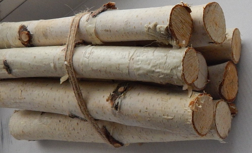 Top Quality Birch Logs White Birch Logs for Home Furniture - China Log,  Wood