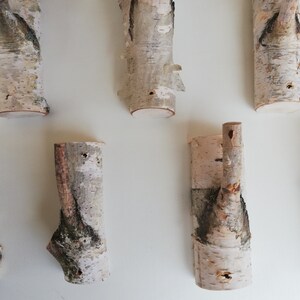 May include: Set of eight birch wood hooks, each with a unique shape and natural bark texture. The hooks are perfect for hanging coats, hats, or other items in a rustic or farmhouse style.