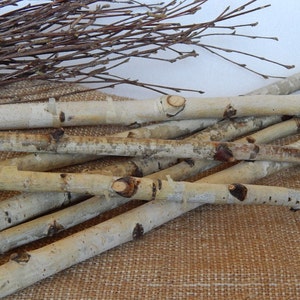 Wood sticks White birch sticks Wood Logs Wedding birch decor. White craft wood.Birch decor. Craft wood stick.  White birch. Home decor birch