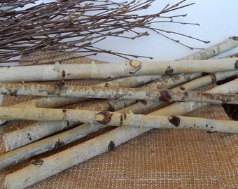 20 white birch sticks. Wood sticks. Wedding birch decor. White craft wood.Birch decor. Craft wood stick.  White birch. Home decor birch