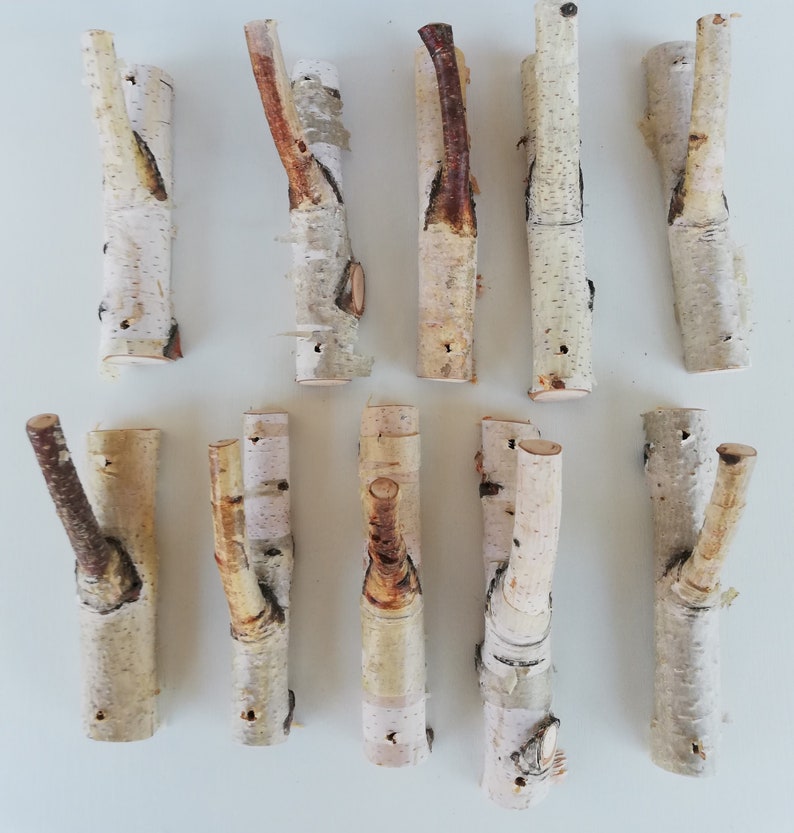 May include: Ten natural birch wood hooks with a rustic, whitewashed finish. The hooks are made from branches with a natural, forked shape. They are perfect for hanging coats, hats, or other items.