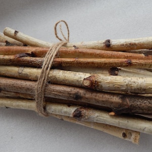 30 Birch sticks. Wood crafts. Wooden sticks. Birch Wood Logs.Forest birch. Wood craft sticks. Birch sticks. Natural wood sticks