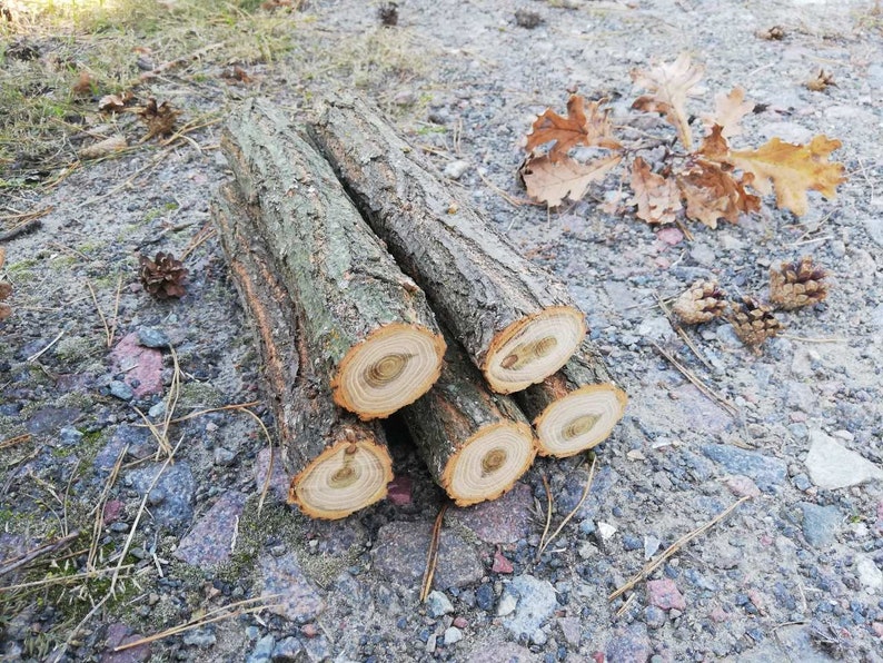 5 Wood Logs Log With Bark Rustic Log Decor Log Decor Fireplace Etsy