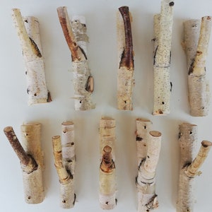 May include: A set of 12 natural birch wood hooks, perfect for hanging coats, hats, or scarves. The hooks are made from real birch branches and have a rustic, natural look.