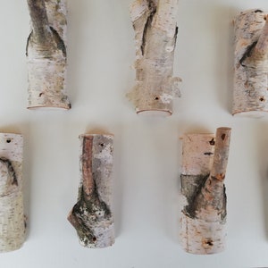 May include: Eight natural birch wood hooks with a rustic, organic look. The hooks are made from branches and have a natural bark finish. They are perfect for hanging coats, hats, or other items.