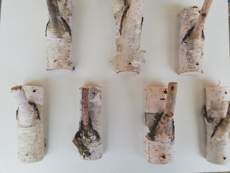 May include: Eight natural birch wood hooks with a rustic, organic look. The hooks are made from branches and have a natural bark finish. They are perfect for hanging coats, hats, or other items.