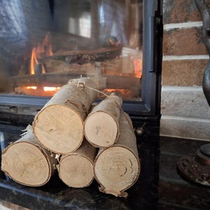 5 Birch logs White Wood logs Fireplace logs Craft birch White birch logs Decoration birch Craft logs Rustic wedding decor White birch