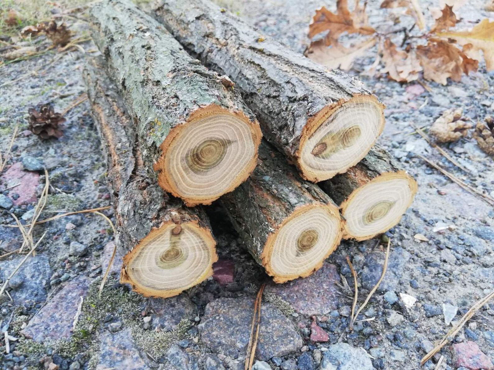 5 Holzstämme Loge mit Rinde Rustikales Holz dekor Kaminholz Etsy.de