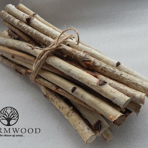 30 Wood sticks Natural wood sticks Craft sticks Wood crafts Wooden sticks Forest birch Wood craft sticks Birch sticks Wood branch Eco wood