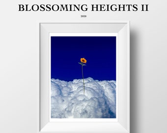 LIMITED EDITION: Blossoming Heights 2 | 8.5x11 Print | Surreal Artwork | Wall Art Decor | Flower Art | Rose Art | Cloud Art | Minimalism Art