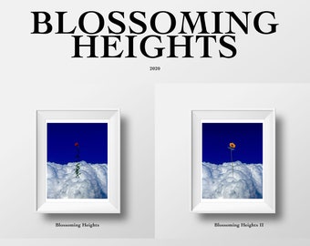Blossoming Heights Art Print Bundle: Rose & Sunflower, Surreal Wall Decor (8.5x11) | Set of 2 Prints