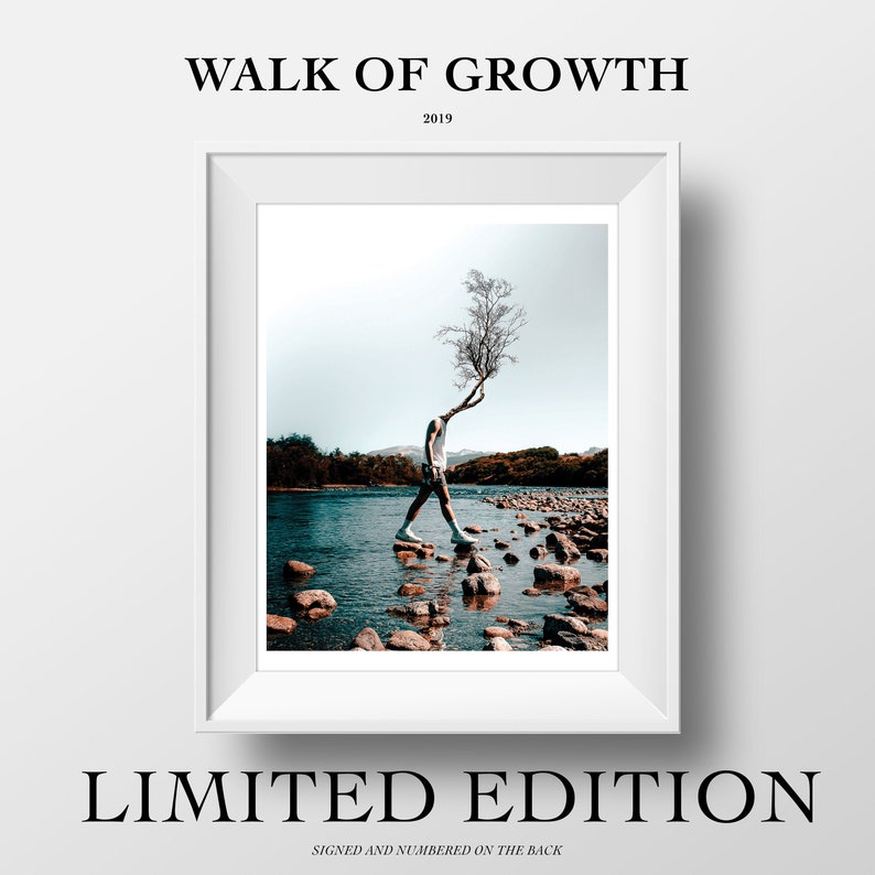 LIMITED EDITION: Walk Of Growth 8.5x11 Print Surreal Artwork Wall Art Decor Minimalism Art Abstract Art Flower Art image 1