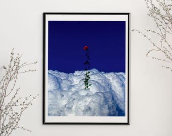 Limited Edition Blossoming Heights Print: Surreal Rose Flower Cloud Art Print (8.5x11)