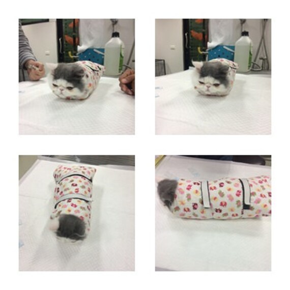 Image showcasing Catwrap a Device for Feeding a Drug Cat Ear Cleaning Catwrap | Etsy