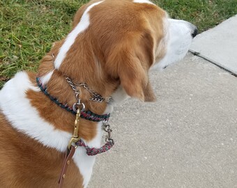 herm sprenger micro prong collar