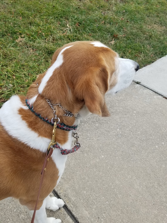 paracord prong collar