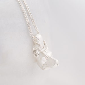 May include: A silver necklace with a detailed pendant of a dog's head. The chain is a delicate curb style.