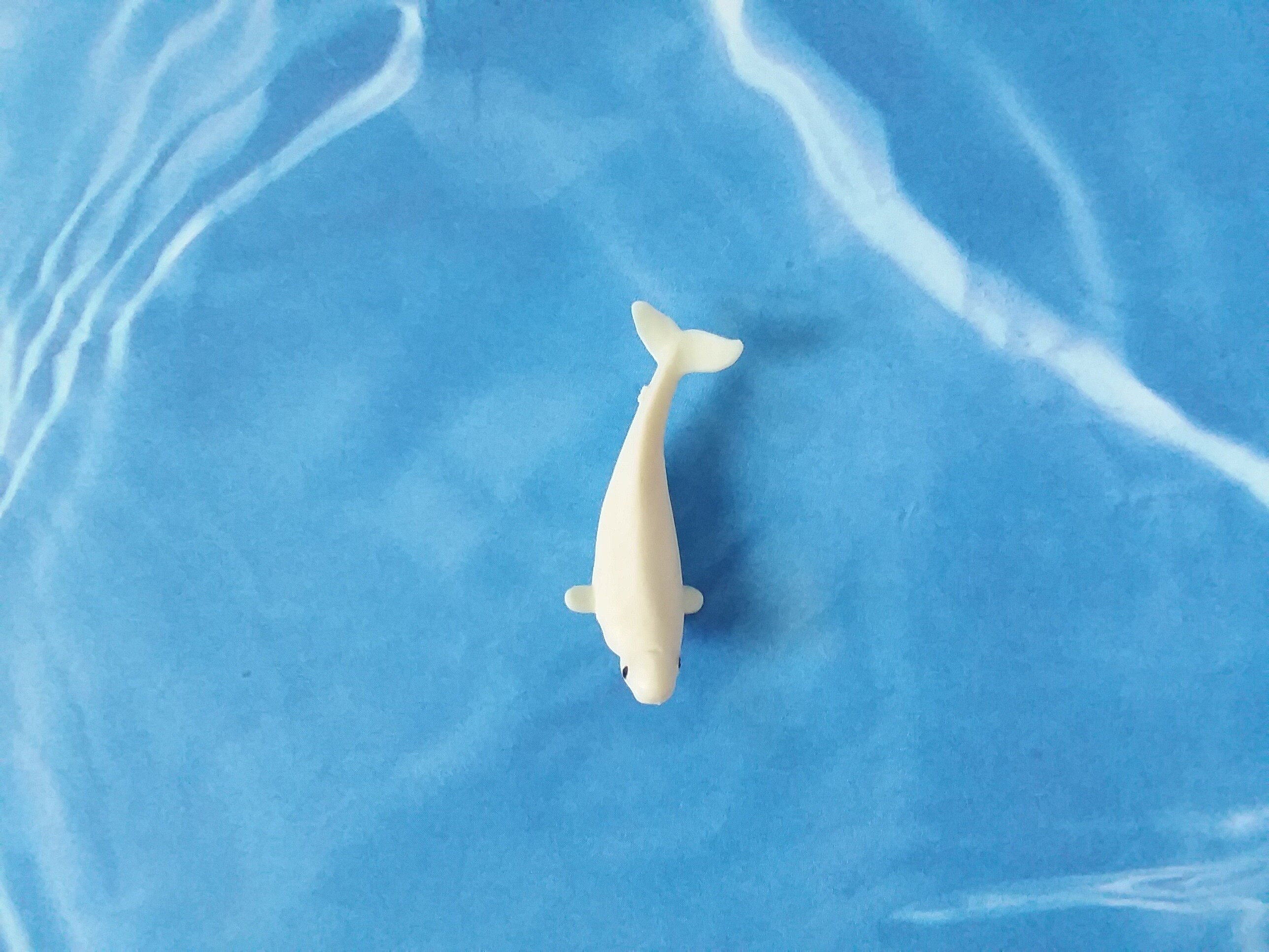 Tiny Beluga Whale Figurine - Soft Plastic Animal for Diorama or ...