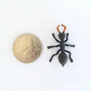 May include: A small, black plastic ant figurine with orange antennae, next to a U.S. quarter coin. The ant has six legs and is positioned on a white surface. The coin is approximately 0.95 inches in diameter.
