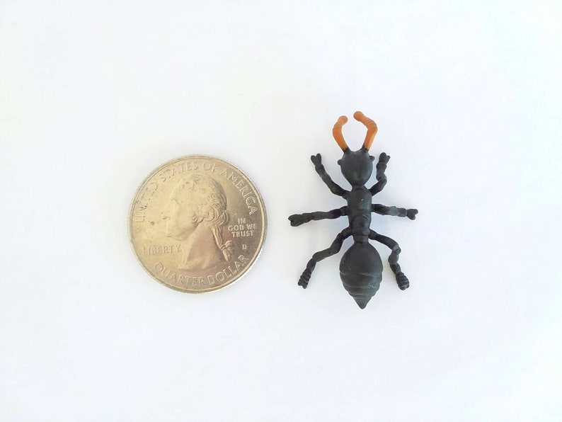May include: A small, black plastic ant figurine with orange antennae, next to a U.S. quarter coin. The ant has six legs and is positioned on a white surface. The coin is approximately 0.95 inches in diameter.