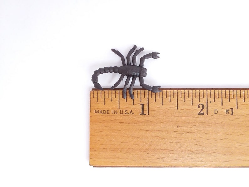 Puede incluir: Un juguete de escorpi&oacute;n de pl&aacute;stico negro que mide aproximadamente 2,5 cm de largo, colocado sobre una regla de madera con marcas en cent&iacute;metros.