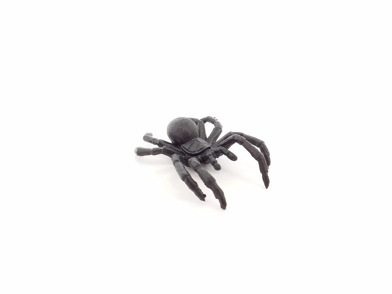 May include: A black plastic spider toy with eight legs. The spider is posed as if it is crawling.