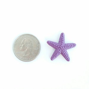 May include: A purple starfish with a textured surface. The starfish is about the size of a US quarter.