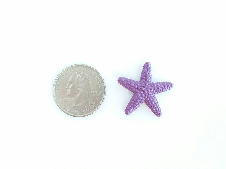 May include: A purple starfish with a textured surface. The starfish is about the size of a US quarter.