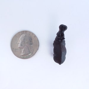 Tiny Hippo Figurine Soft Plastic Hippopotamus for Fairy Garden, Diorama, or Terrarium Realistic Miniature Safari Figure Mini Animal image 5