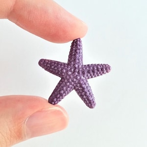 May include: A purple starfish with a textured surface.