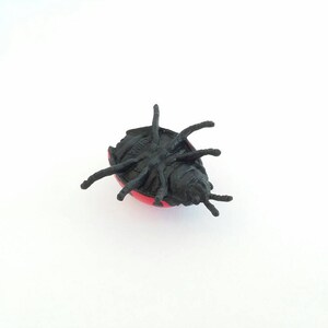 Pu&ograve; includere: Un giocattolo di coccinella di plastica nero e rosso con sei zampe. La coccinella &egrave; sdraiata sulla schiena con le zampe in aria.