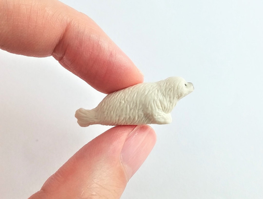 Cría De Foca En La Arena Cerca De Un Cuerpo De Agua Foto E Imagen Para  Descarga Gratuita - Pngtree, image size:1080x817