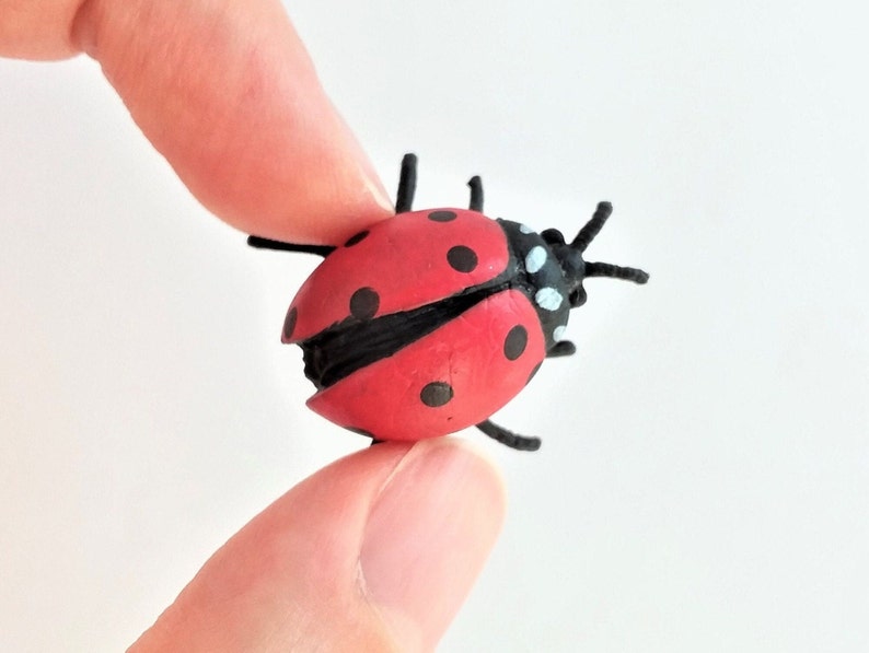 Pu&ograve; includere: Un giocattolo di coccinella rosso con macchie nere e gambe nere. La coccinella &egrave; fatta di plastica e ha una finitura lucida.